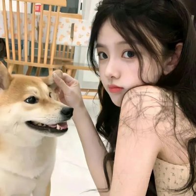 血战那维克 海报